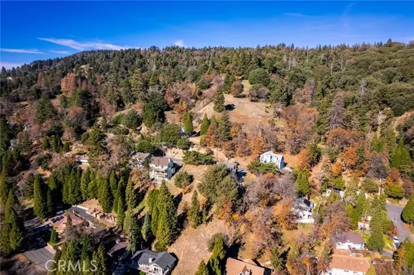 Crestline, CA 92325,0 Briarwood LN