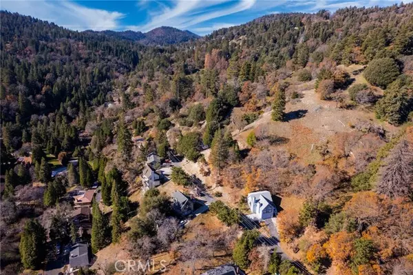 Crestline, CA 92325,0 Briarwood LN