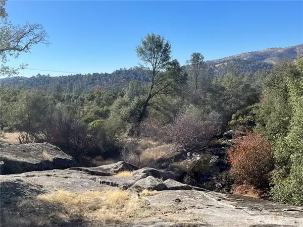 Mariposa, CA 95338,4148 Burl DR