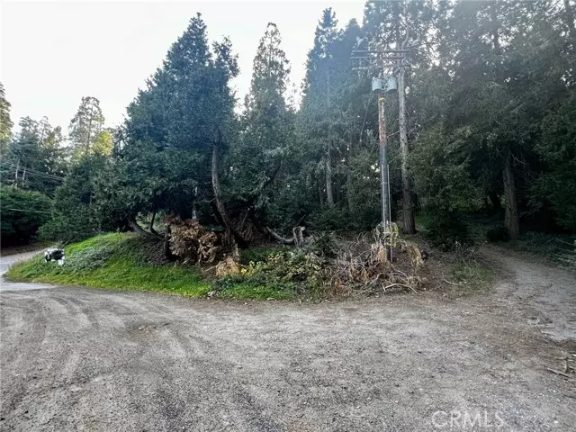 0 Burnt Mill Canyon RD, Cedarpines Park, CA 92322