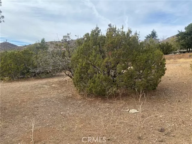 Acton, CA 93510,0 VAC/COR Valley Sage