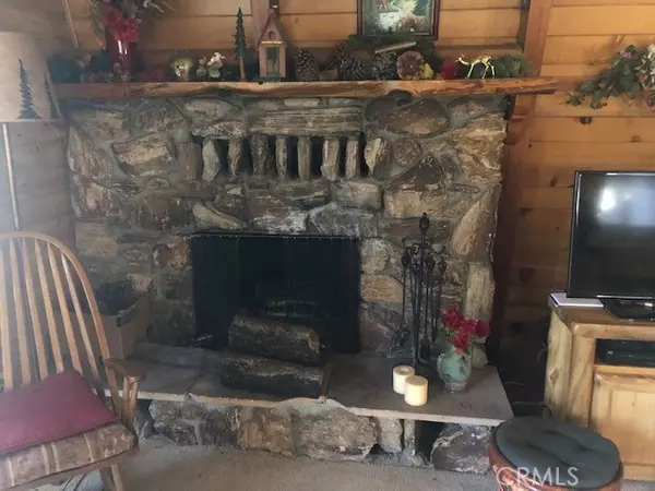 Big Bear Lake, CA 92315,825 Jeffries ST