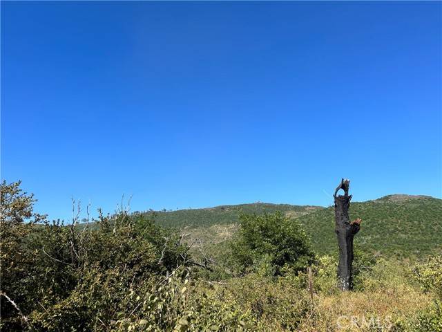 0 Coniston, Concow, CA 95965