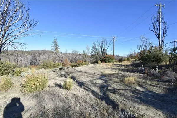 Oroville, CA 95966,21 Cedar Tree LN