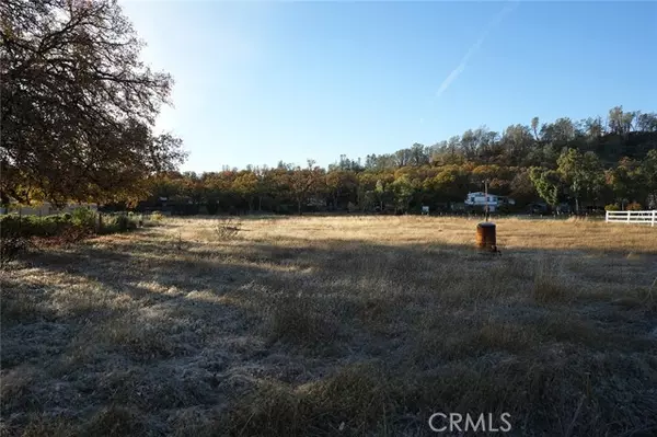 Corning, CA 96021,15745 N Mendocino DR