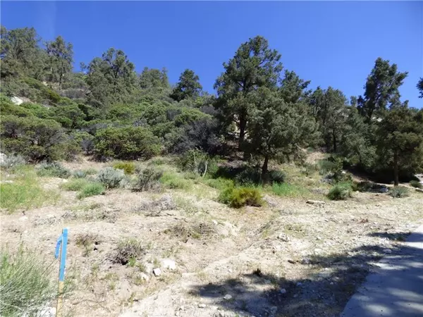 Frazier Park, CA 93225,0 Escolon TRL