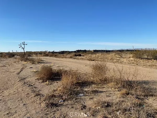 Adelanto, CA 93201,0 MOJAVE/VERBENA