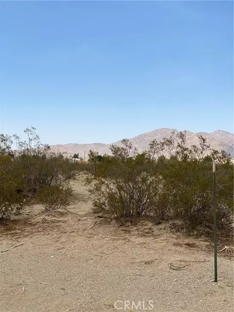 Lucerne Valley, CA 92356,0 Bullrush RD