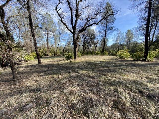 Corning, CA 96021,15785 Placer CT