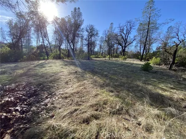 15785 Placer CT, Corning, CA 96021