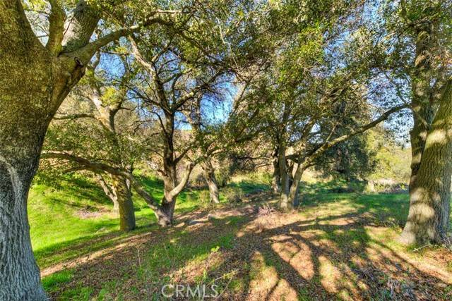 Lake Elsinore, CA 92530,7 South Main DV
