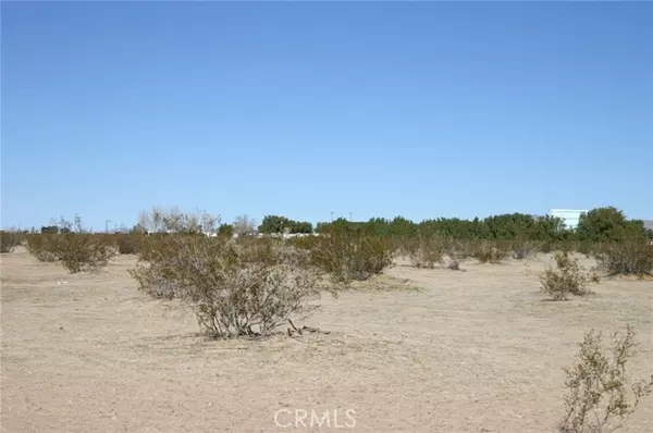 Twentynine Palms, CA 92277,0 Amboy RD