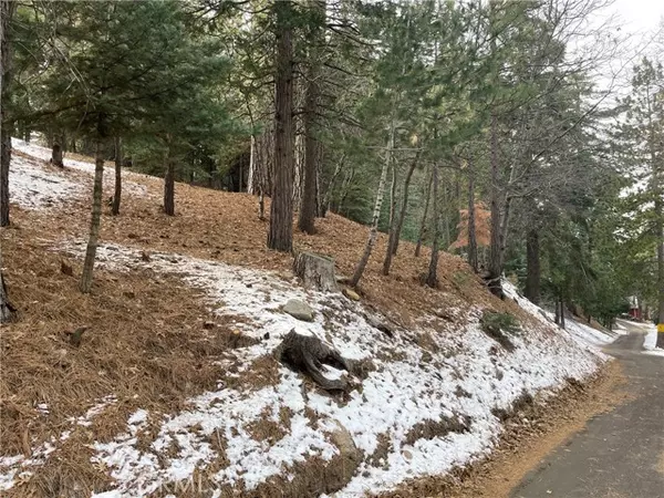 17 Lots 17-19 Mid LN, Twin Peaks, CA 92391