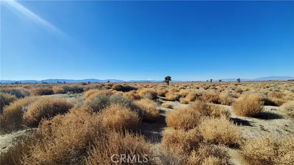 Palmdale, CA 93535,0 Vicinity Avenue L2 & 77th East ST