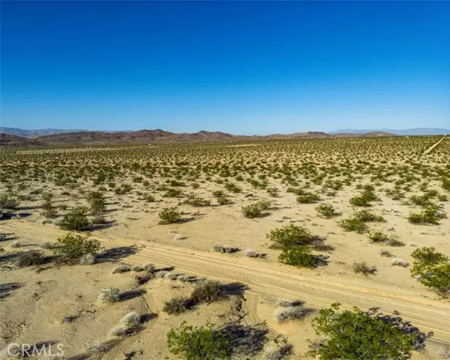 Joshua Tree, CA 92252,1962 Bourland Pass RD