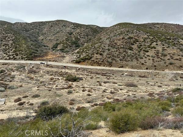 0 Vac/Munz Ranch Rd/Vic Kern Wat, Leona Valley, CA 93551