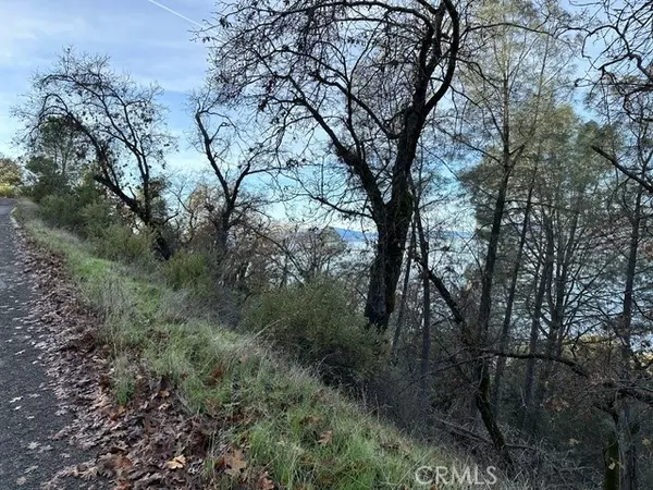 Lucerne, CA 95458,6883 Panoramic DR