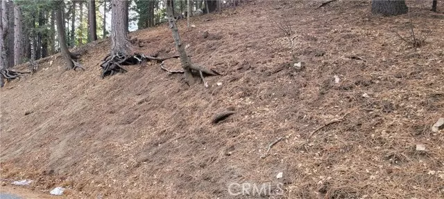 0 Spring Oak DR, Running Springs, CA 92382