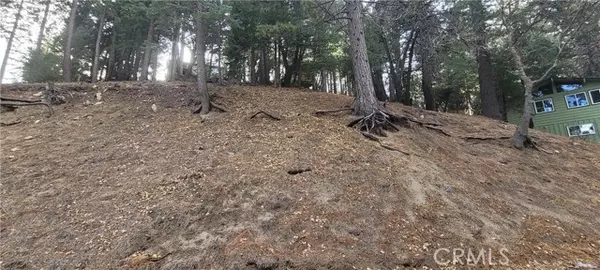 Running Springs, CA 92382,0 Spring Oak DR