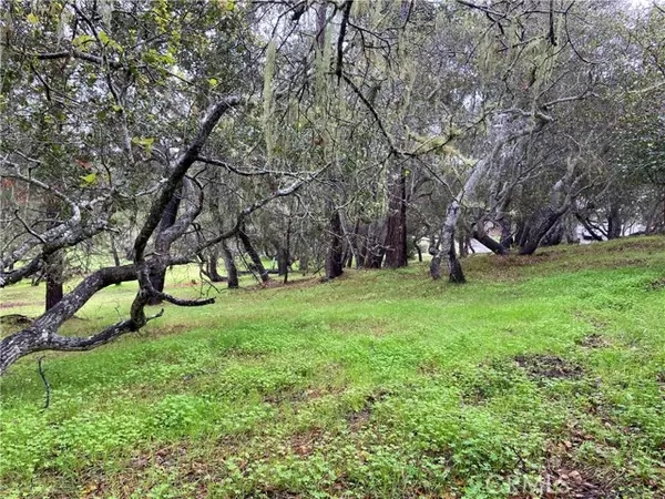 Cambria, CA 93428,0 Kenneth