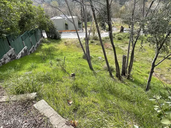 Tujunga, CA 91042,2407 Stonyvale RD