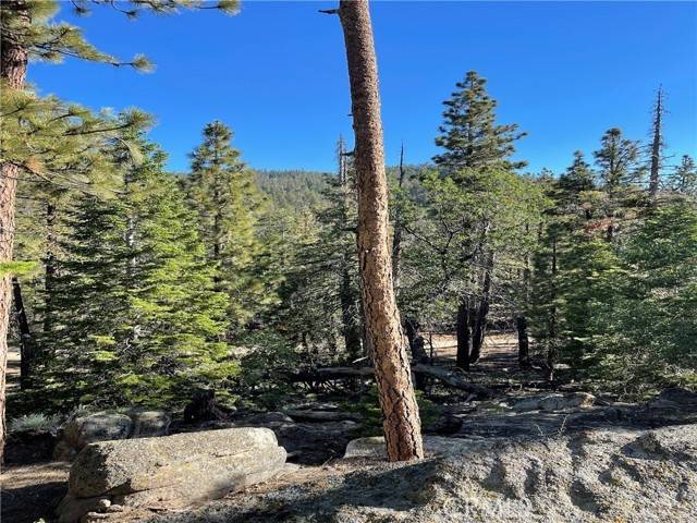 15328043 Piute Pines RISE, Caliente, CA 93518