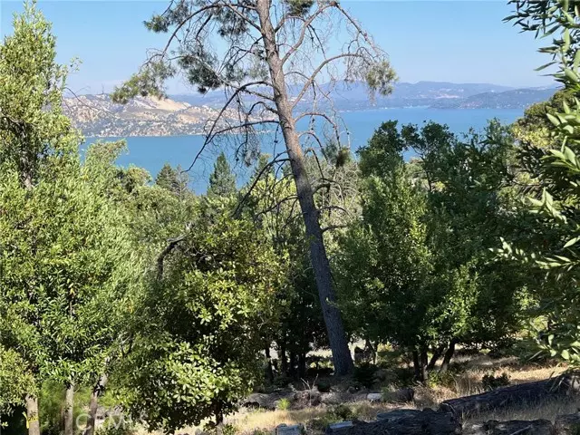 3599 Pine Terrace DR, Kelseyville, CA 95451