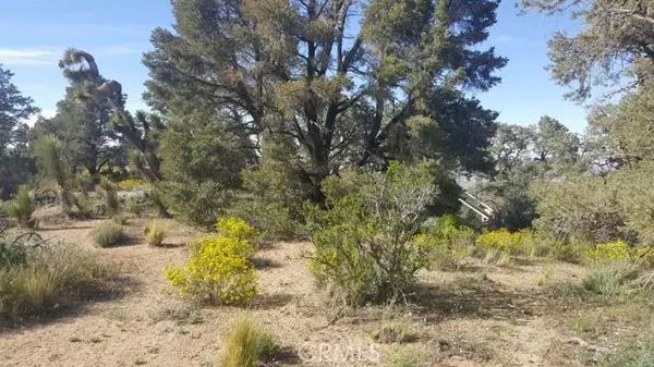 0 Scenic Creek DR, Wrightwood, CA 92372