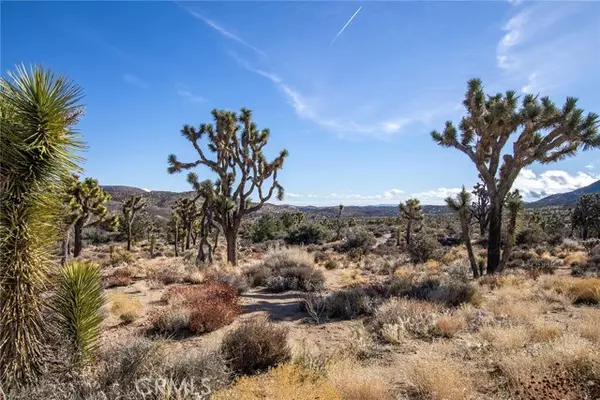 Lucerne Valley, CA 92356,1 Burns Canyon RD
