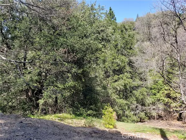 Crestline, CA 92325,0 Edelweiss DR