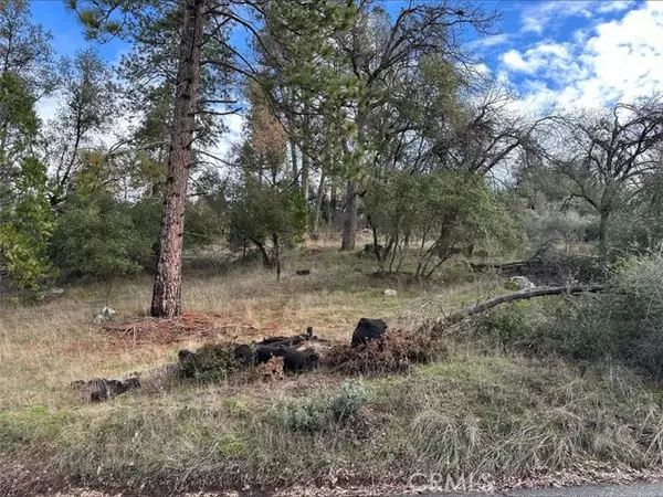 Coarsegold, CA 93614,0 2.01 AC Deer Path CIR