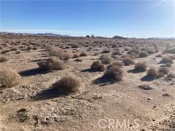 Lucerne Valley, CA 92356,4500713 Wren