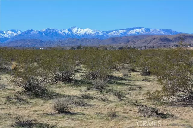 Joshua Tree, CA 92252,0 29 Palms Hwy