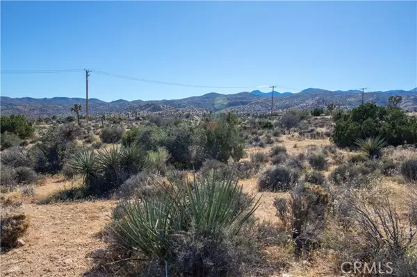 Pioneertown, CA 92268,0 Ox Yoke