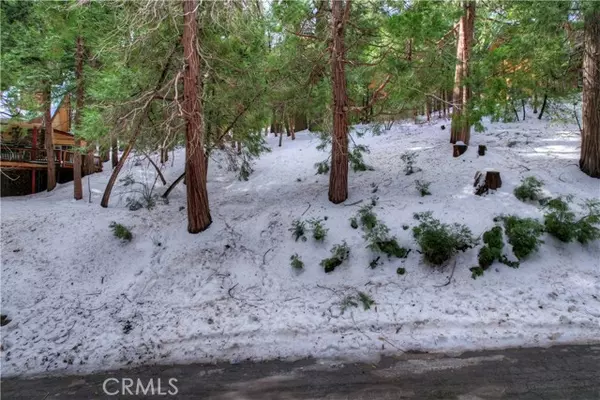 Cedar Glen, CA 92321,0 Alder TER