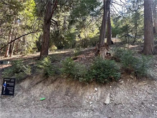 Cedar Glen, CA 92321,0 Alder TER