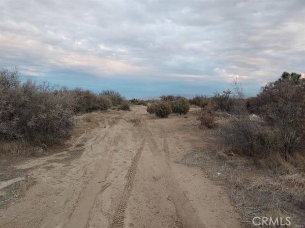 0 Muscatel Parcel #3038-131-20 CT, Phelan, CA 92371