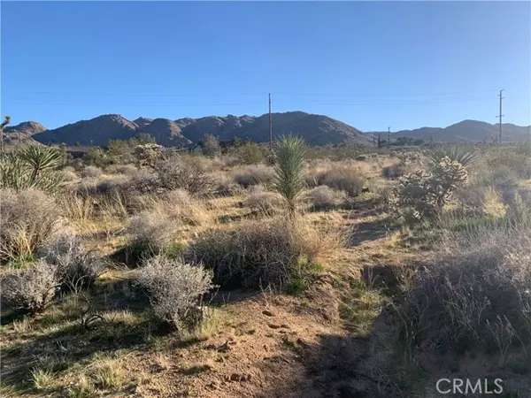 Joshua Tree, CA 92252,60300 Alta Mesa DR