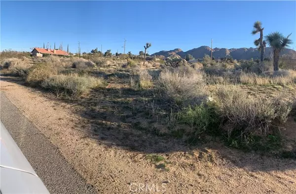 Joshua Tree, CA 92252,60300 Alta Mesa DR