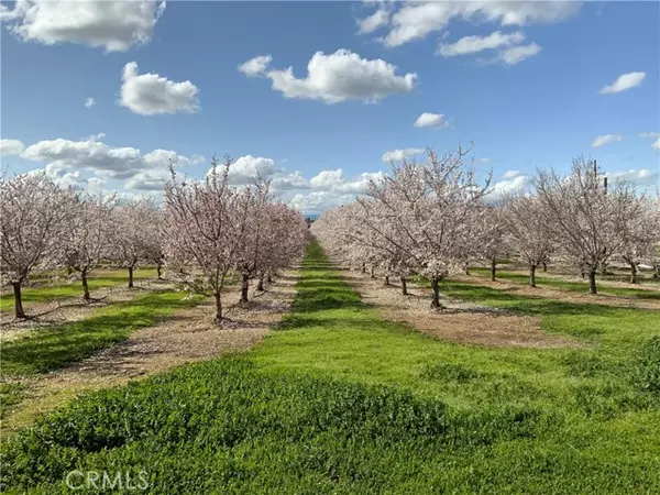 Corning, CA 96021,24895 New Jersey AVE