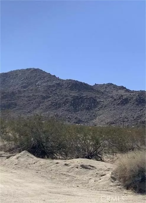 Joshua Tree, CA 92252,0 Rice AV& Terrace DR