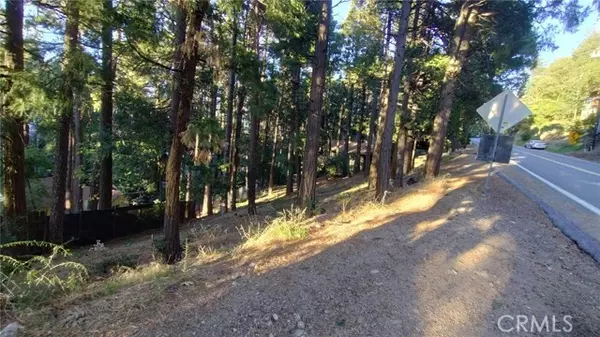 Crestline, CA 92325,0 Crest Forest DR