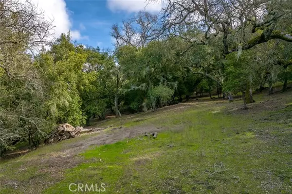 Atascadero, CA 93422,0 Lot 12 Morro Rd.