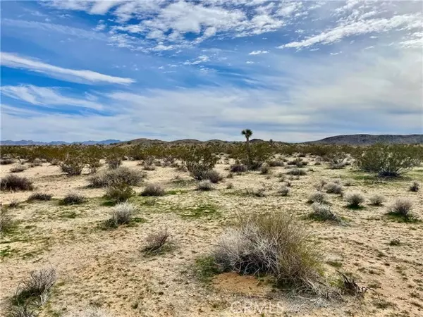 0 Willies WAY, Joshua Tree, CA 92285