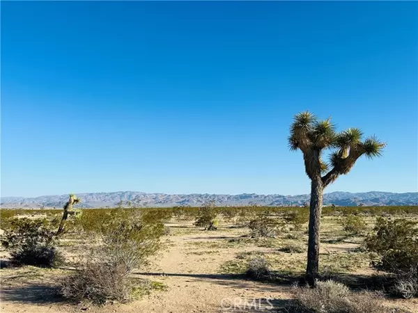 1974 Sunset RD, Joshua Tree, CA 92252