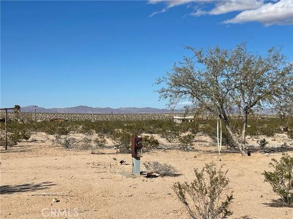 65370 Brant Cross RD, Joshua Tree, CA 92252