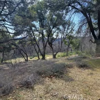 Berry Creek, CA 95916,0 Possum LN