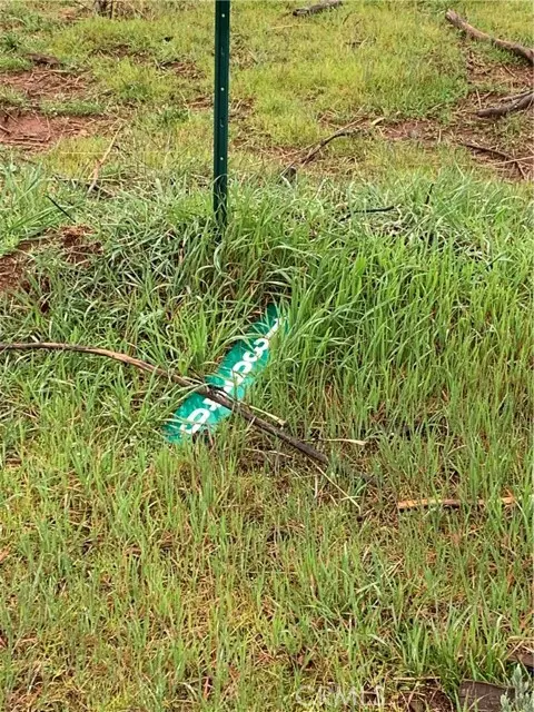 Magalia, CA 95954,13949 Cascade DR