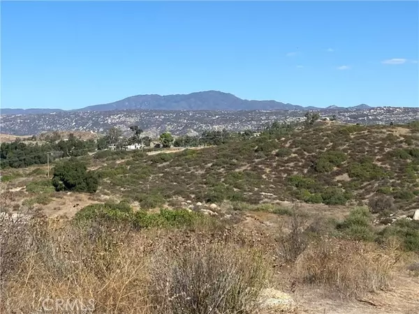 Hemet, CA 92544,10 Gray Squirrel Lot 10