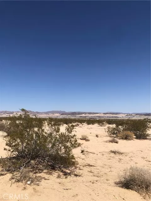 Twentynine Palms, CA 92277,71440 Palmyra